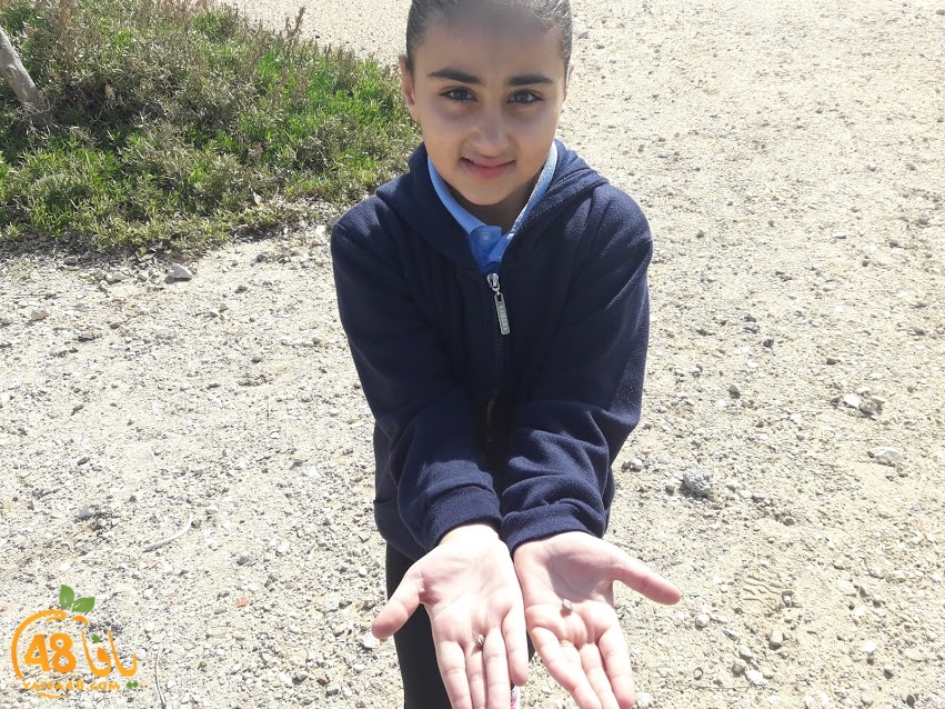 zr3 7san 3arafa (11).jpg